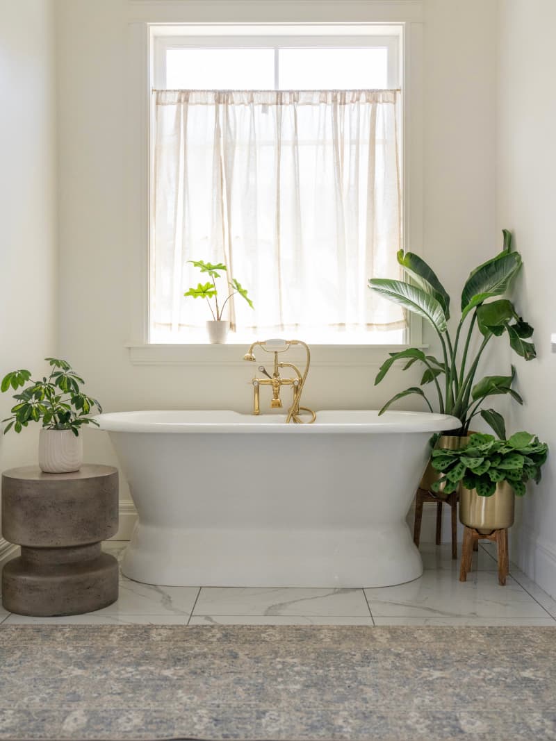 Interior Plant Design